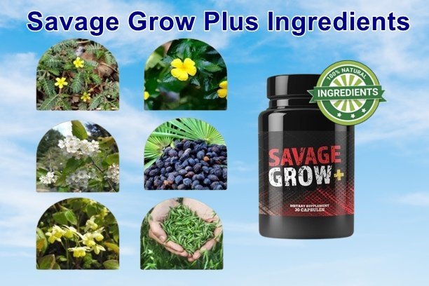 Savage Grow Plus Ingredients